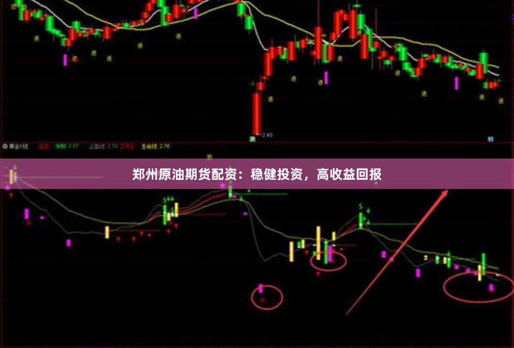 郑州原油期货配资：稳健投资，高收益回报
