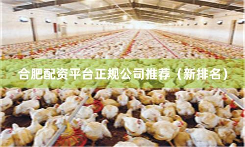 合肥配资平台正规公司推荐（新排名）